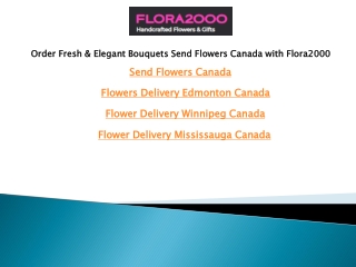 Order Fresh Elegant Bouquets Send Flowers Canada with Flora2000