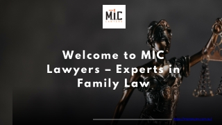 Family Law Lawyer