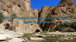 Discover Morocco Like Never Before with MSDT's Expert Tour Packages