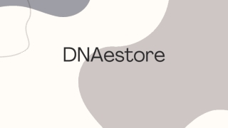 DNA e-Store  Crane Pair Decorative Showpiece – Premium Microfiber Accent for Home Decor.