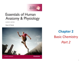 Biology Chapter 2 Part 2 Fall 2024-2025