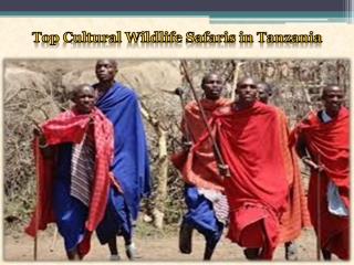 Top Cultural Wildlife Safaris in Tanzania