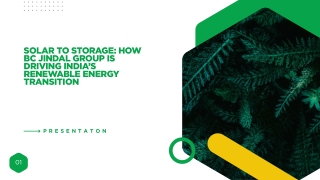 Solar to Storage How BC Jindal Group is Driving India’s Renewable Energy Transition
