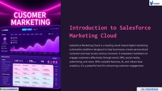 Salesforce Marketing Cloud Course Online | Marketing Cloud