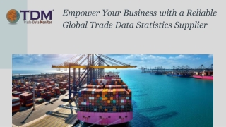 Reliable Global Trade Statistics Supplier for Smarter Business Strategy