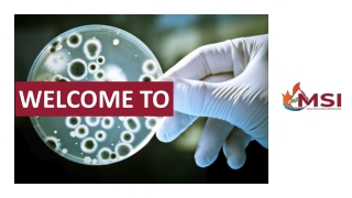 The Benefits of Professional Mold Inspection Restoration Services