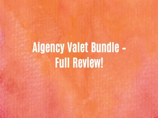 Aigency Valet Bundle – Full Review