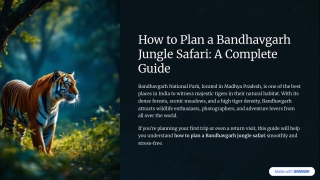 how to plan a bandhavgarh jungle safari