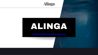 Reasons of Hiring a Shopify Agency in Gold Coast