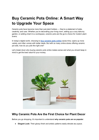 Buy Ceramic Pots Online_ A Smart Way to Upgrade Your Space
