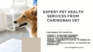 Expert Pet Health Services from Caringbah Vet