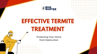 Effective Termite Treatment  Protecting Your Home from Destruction