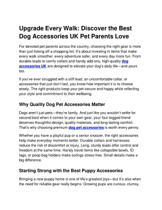 Upgrade Every Walk: Discover the Best Dog Accessories UK Pet Parents Love