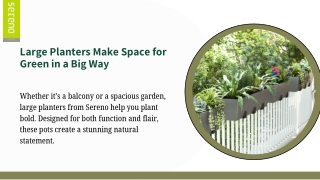 Large Planters Built for Bold Plant Displays