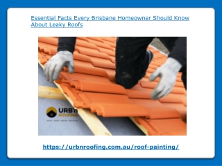Essential Facts Every Brisbane Homeowner Should Know About Leaky Roofs
