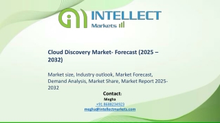 Cloud Discovery Market Forecast (2025 – 2030)