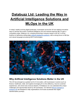 Databuzz_Ltd_Leading_the_Way_in_Artificial_Intelligence_Solutions
