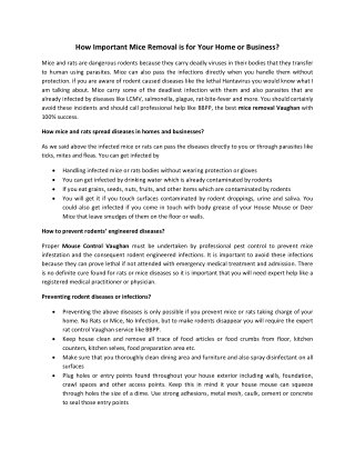 How Important Mice Removal is for Your Home or Business