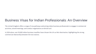 Business-Visas-for-Indian-Professionals-An-Overview