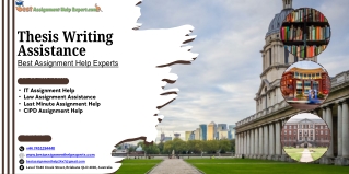 Thesis Writing Assistance