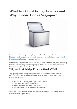 What Is a Chest Fridge Freezer and Why Choose One in Singapore