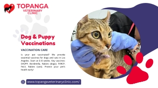 Green Yellow Blob veterinarian & Pet Center Presentation