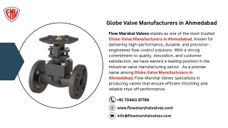 Globe Valve Manufacturers in Ahmedabad