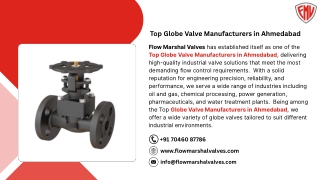 Top Globe Valve Manufacturers in Ahmedabad