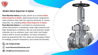 Globe Valve Exporter in Qatar