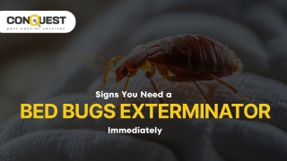 Signs You Need a Bed Bugs Exterminator Immediately