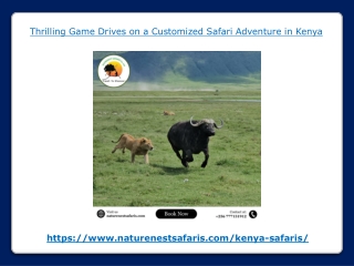 Thrilling Game Drives on a Customized Safari Adventure in Kenya