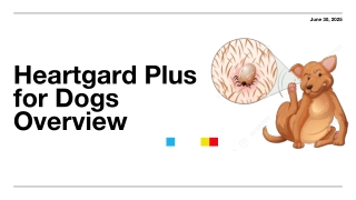 Heartgard Plus for Dogs- Discount Pet Care