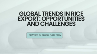 Global Trends in Rice Export Opportunities and Challenges