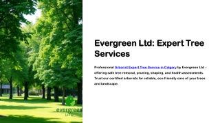 Arborist Expert Tree Service Calgary - Evergreen Ltd