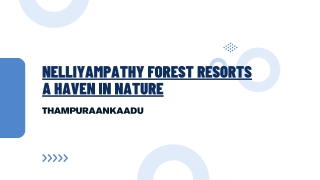 Nelliyampathy Forest Resorts A Haven in Nature