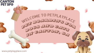 Pet Boarding for Dogs and Cats in Canton, GA