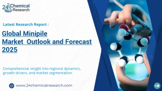 Global Minipile Market Research Report 2025