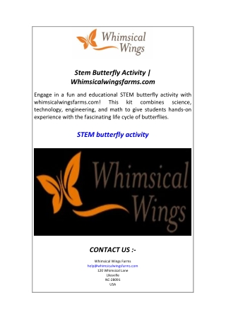 Stem Butterfly Activity  Whimsicalwingsfarms.com