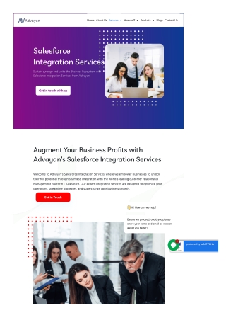 Salesforce Integration Services
