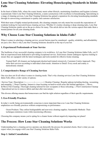 Lone Star Cleaning Solutions: Elevating Housekeeping Standards in Idaho Falls