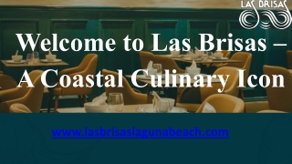 Lasbrisaslagunabeach