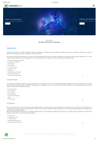 vulnerability assessment services