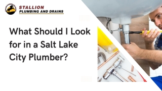 What Should I Look for in a Salt Lake City Plumber