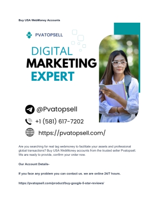 Buy USA WebMoney Accounts