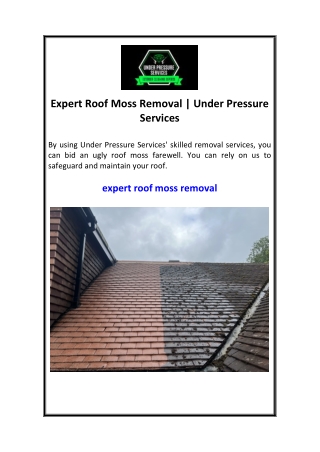 Expert Roof Moss Removal  Under Pressure Services