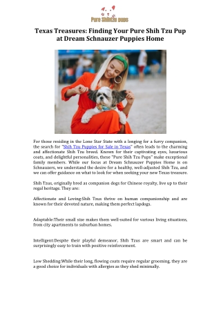 Texas Treasures Finding Your Pure Shih Tzu Pup at Dream Schnauzer Puppies Home