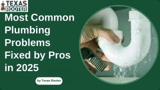 Most Common Plumbing Problems Fixed by Pros in 2025