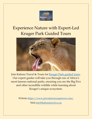 Experience Nature with Expert-Led Kruger Park Guided Tours