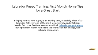 Labrador Puppy Training - First Month Home Tips for a Great Start