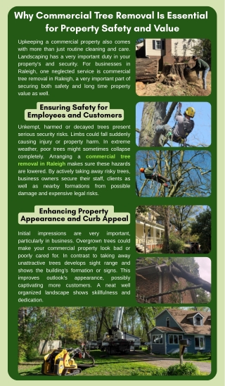 Why Commercial Tree Removal Is Essential for Property Safety and Value
